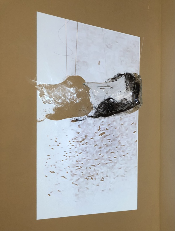 Tomoko Amaki Abe Mixed Media Mold blown glass, Boar's hair, video projection