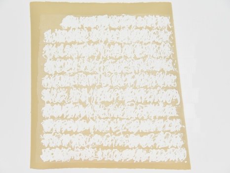 Tongji Philip Qian The Plausibility of Expressions Wall-mending agent, drywall tape, paper