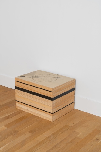 Tongji Philip Qian recent work Graphite, pigment marker, and acrylic on wooden panels; in 13 parts