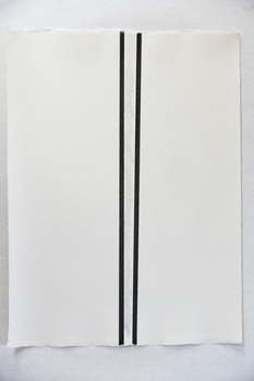 Tongji Philip Qian Weeping Cherry Blossom in Full Bloom Grahite and pigment marker on paper