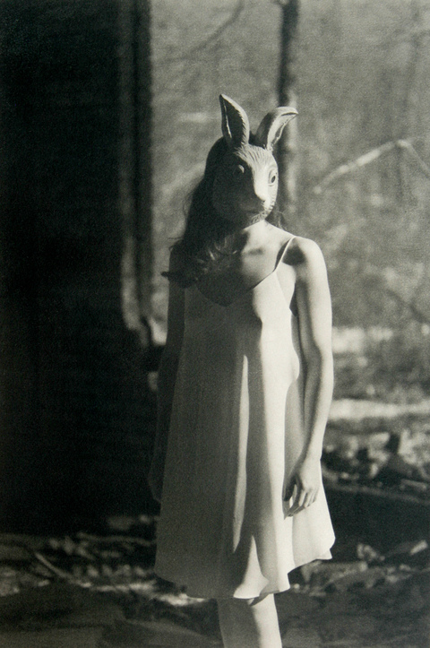Untitled White Rabbit B&W Gum Bichromate print over Cyanotype
