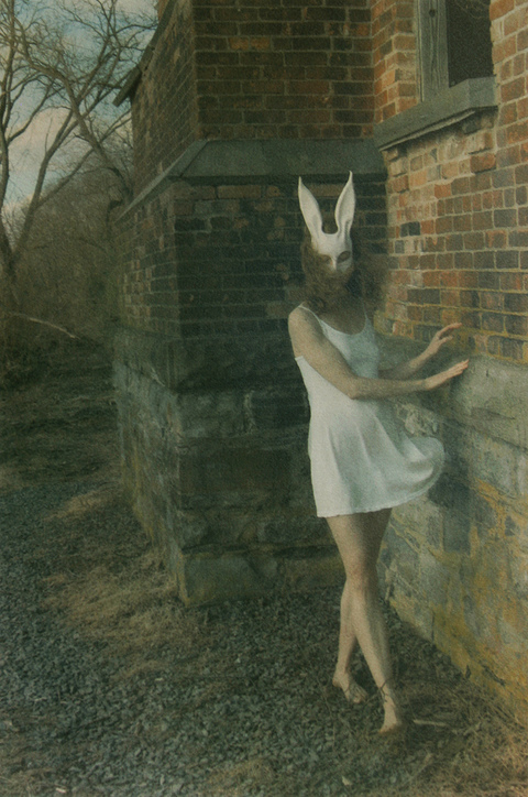 Untitled White Rabbit Tri-Color Gum Bichromate print over Cyanotype