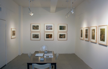 Naiads Exhibit Installation at Cheryl McGinnis Gallery 2010