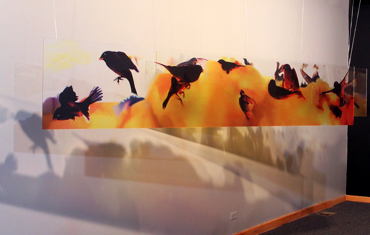 Tree of Life Eleftheria Lialios archival color transparencies on plexiglass, audio