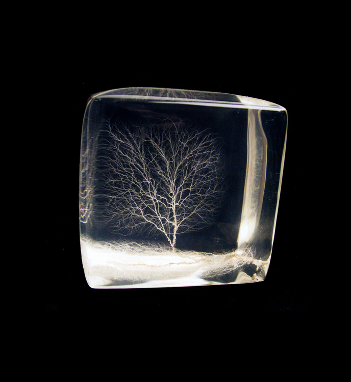 Tree of Life Tree of Life irradiated acrylic