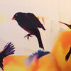 Carousel artwork image 1241