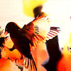 Carousel artwork image 1243