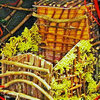 Carousel artwork image 1248