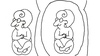 Carousel artwork image 142