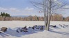 Carousel artwork image 847