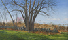 Carousel artwork image 853