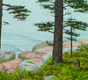 Carousel artwork image 869