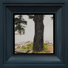 Carousel artwork image 906