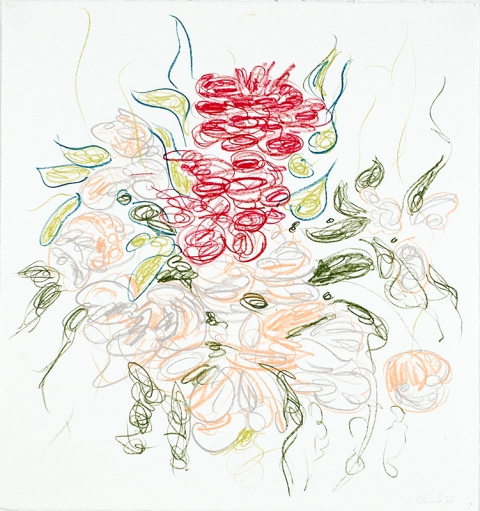 Wendy V. Edwards Drawings crayon