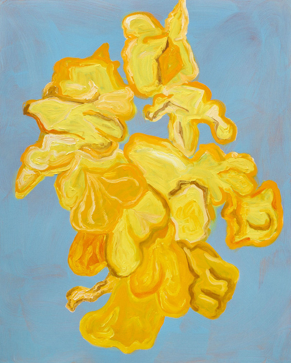 Wendy V. Edwards Paintings oil on canvas