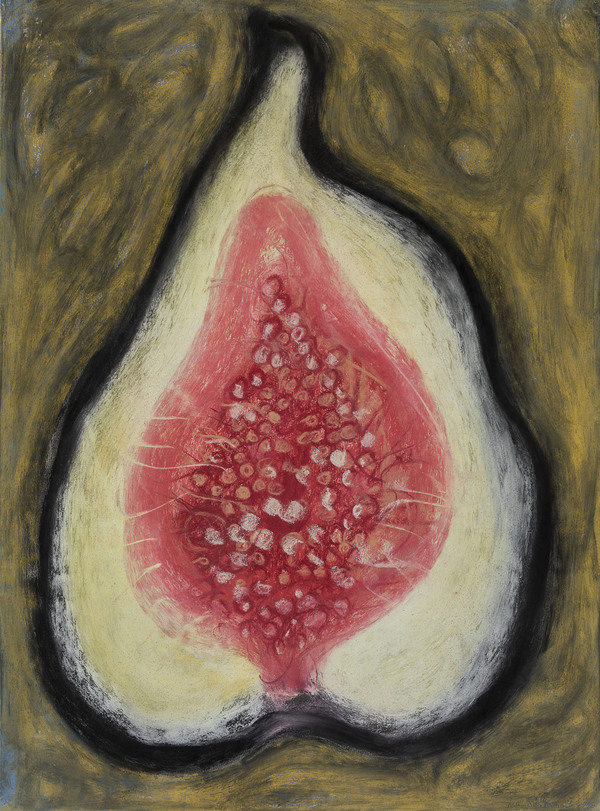 Wendy V. Edwards Archive '75 - '00 