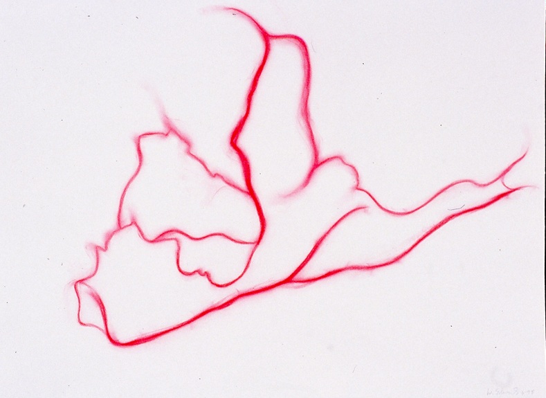 Wendy V. Edwards Archive '75 - '00 