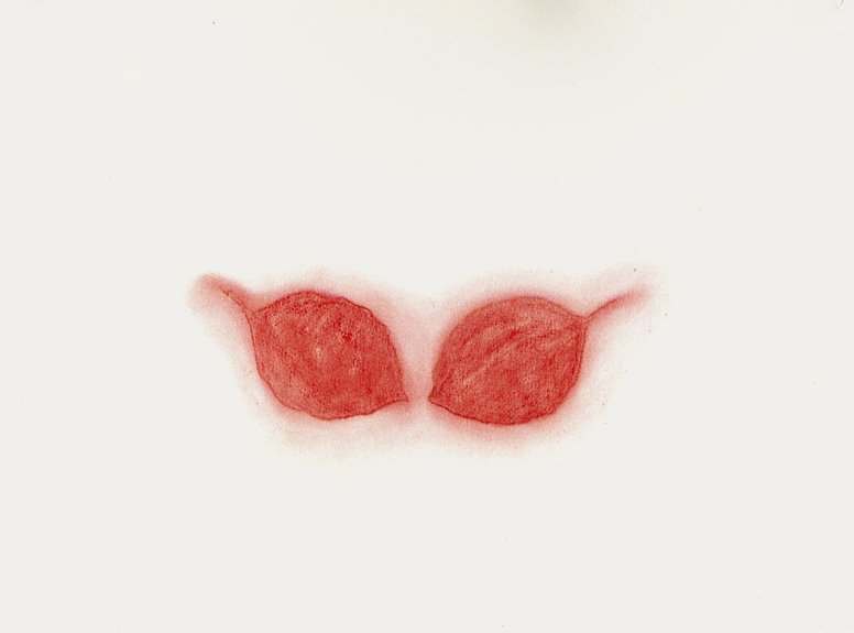 Wendy V. Edwards Archive '75 - '00 