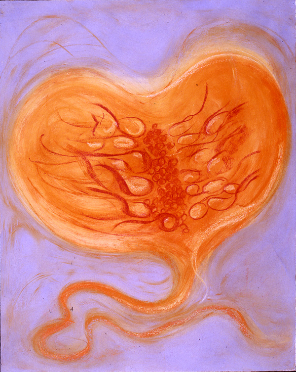 Wendy V. Edwards Archive '75 - '00 