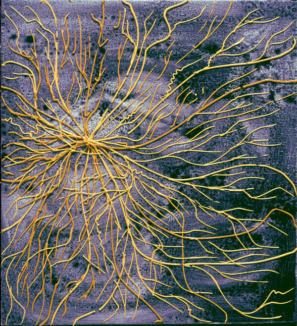 Wendy V. Edwards Archive '75 - '00 Oil on canvas