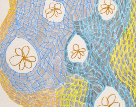 Wendy V. Edwards Drawings Colored pencil on paper