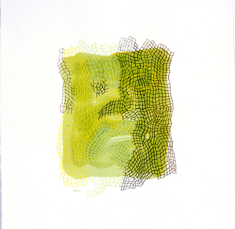 Wendy V. Edwards Drawings Crayon and ink on paper