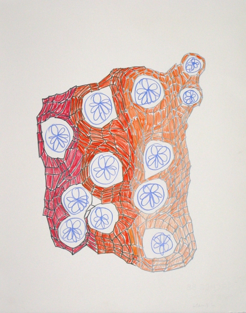 Wendy V. Edwards Drawings Colored pencil on paper