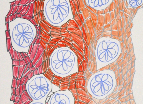 Wendy V. Edwards Drawings Colored pencil on paper
