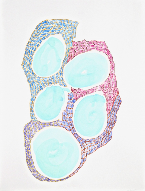 Wendy V. Edwards Drawings Crayon and watercolor on paper