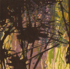 Carousel artwork image 664