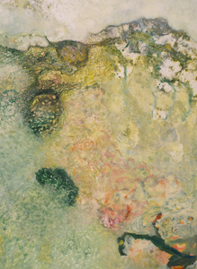 Willa Cox Nature-based Abstraction mixed media on paper