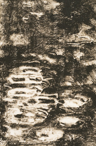 Willa Cox Water  monotype on paper (printed using a spoon)