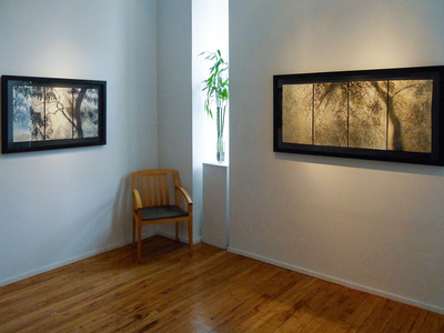 Willa Cox Exhibition Views 