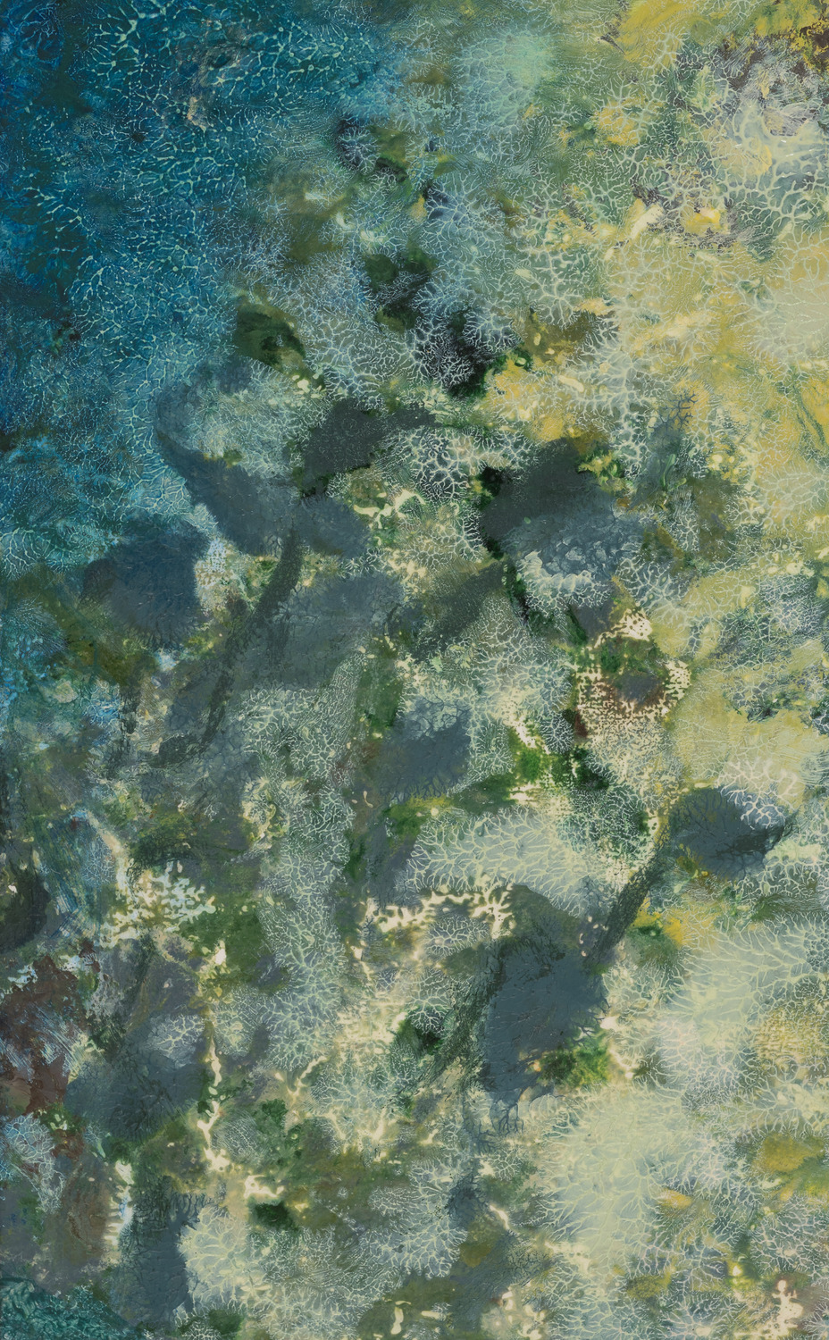 Willa Cox  One sequence and its individual panels monotype on paper