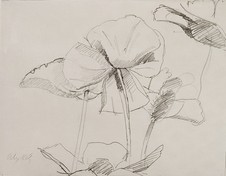 Carousel artwork image, Katz-Primrose.jpg