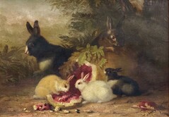 Carousel artwork image, Mary-smith-jpeg.jpg