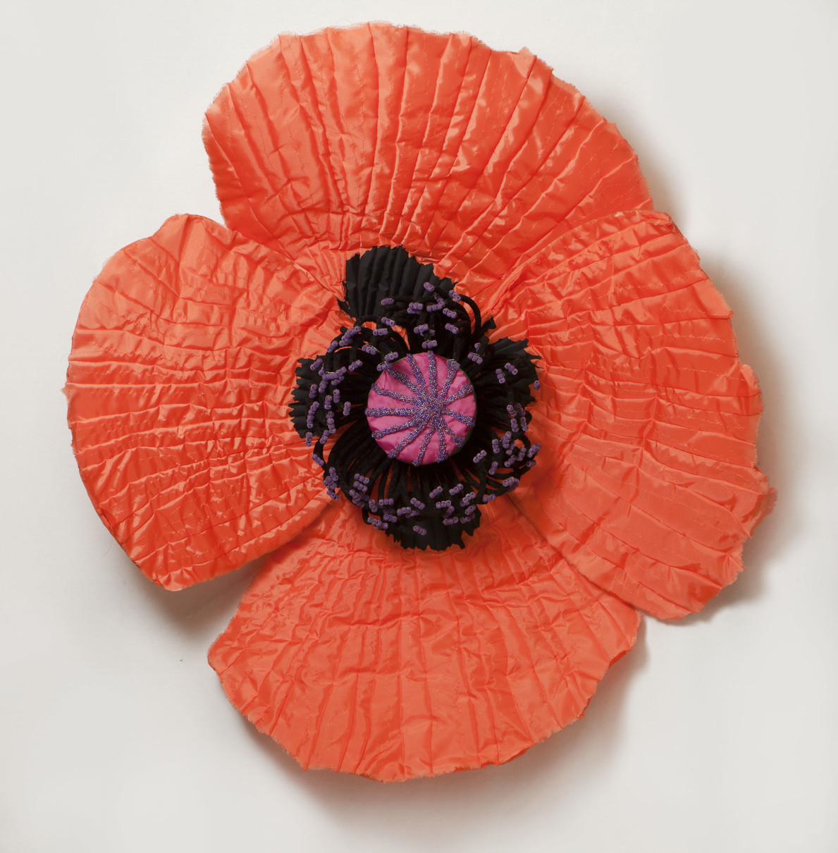 Daina Shobrys : Poppies