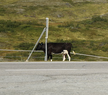 evolving relationships of proximity