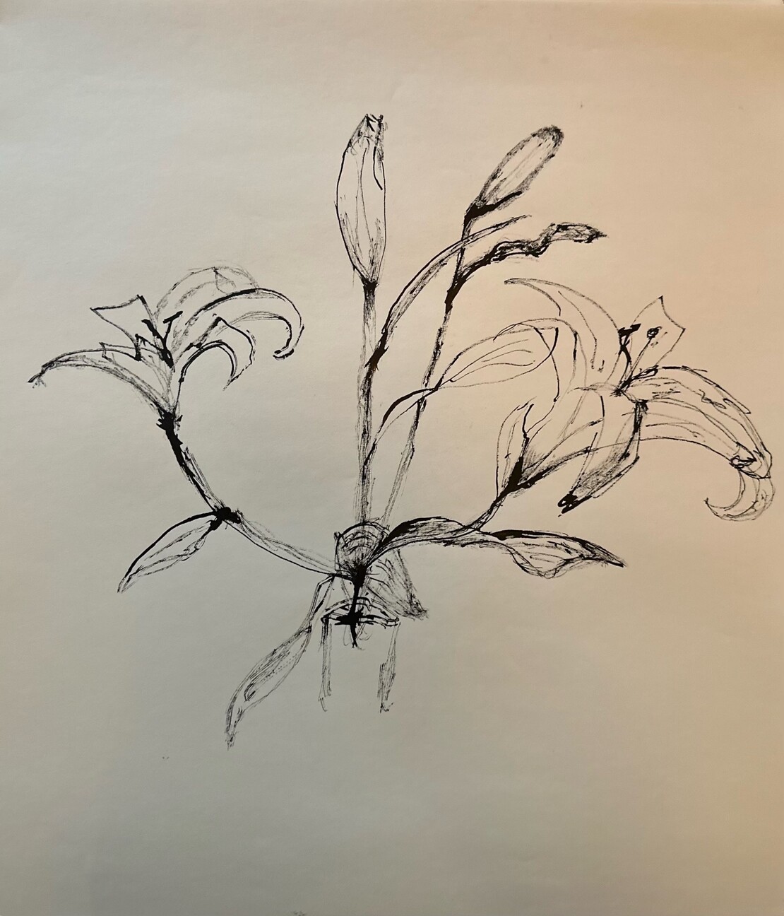कनेर का फूल बनाना सीखें / How to Draw Kaner Flower Easy Step By Step / Kaner  Flower Drawing Easy - YouTube