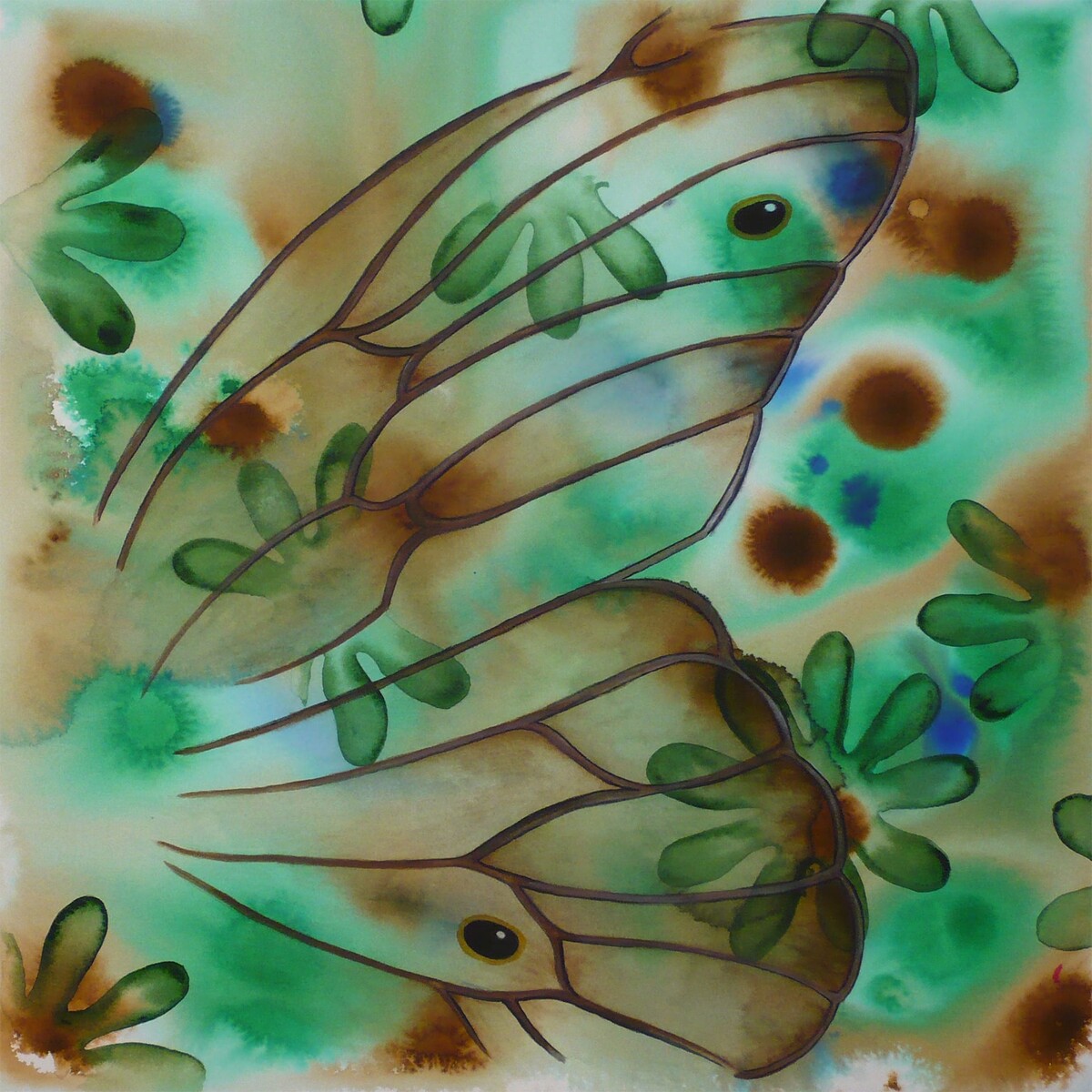 Jeanne Rehrig : Wings Revisited