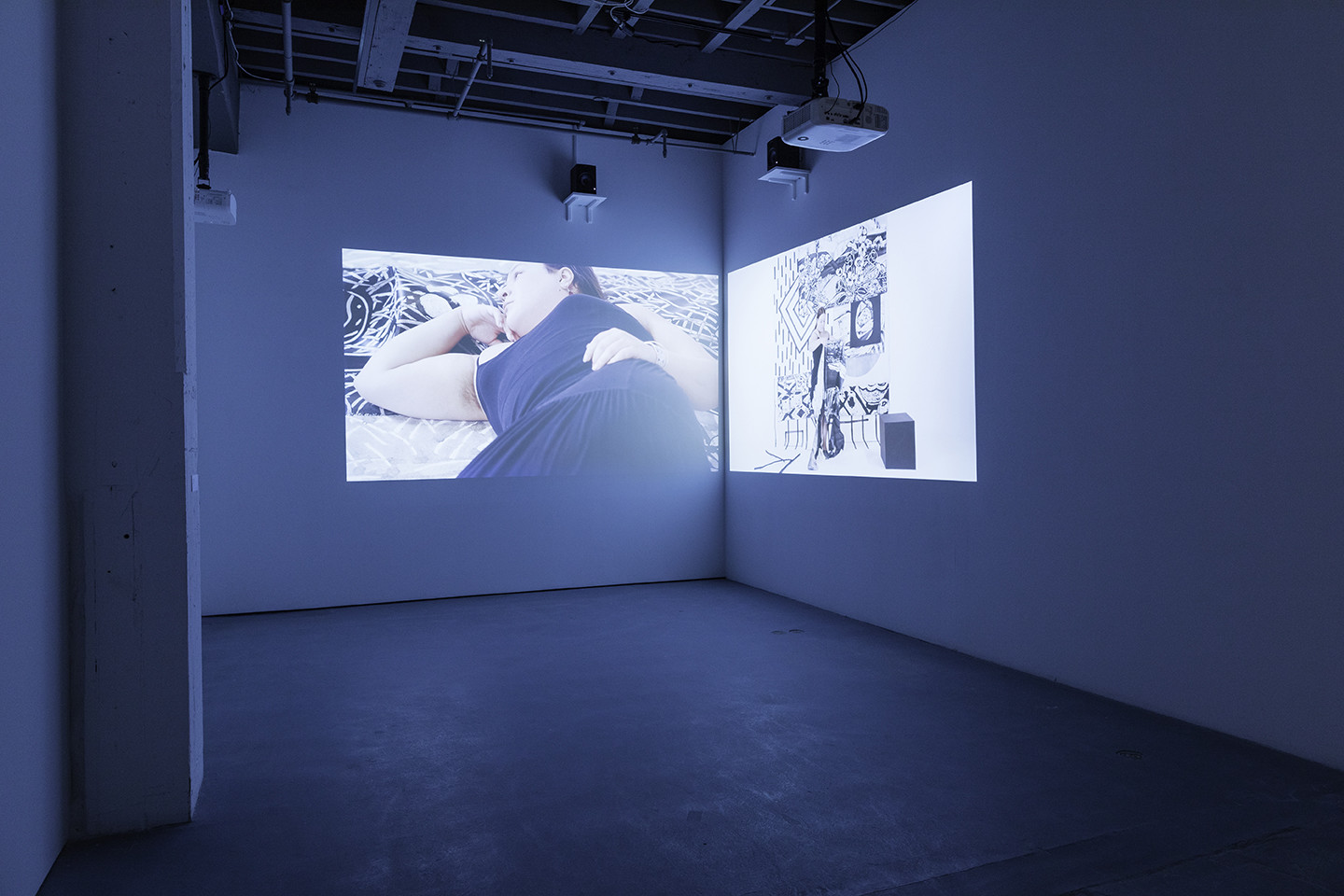 JOEY FAUERSO : Recent Work : Inside the Spider's Body, Bemis