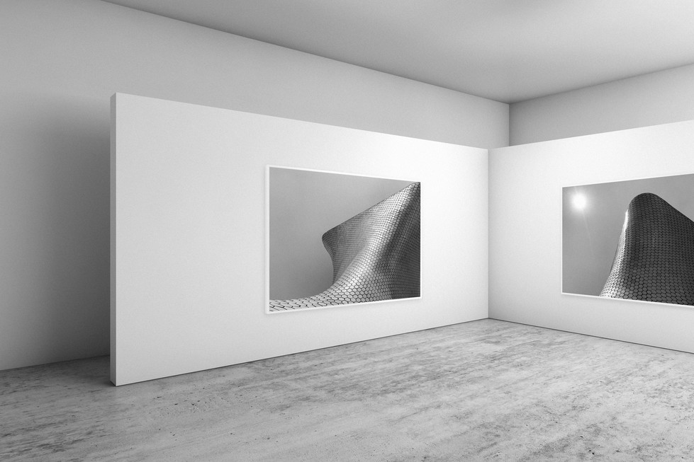Larry Halff : Collect