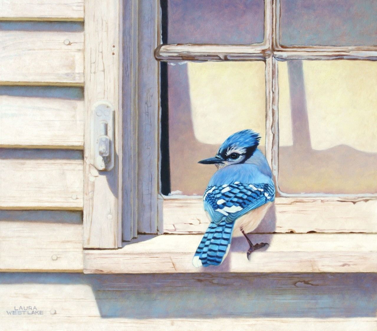 Laura's Birding Blog: Blue Jays!!!