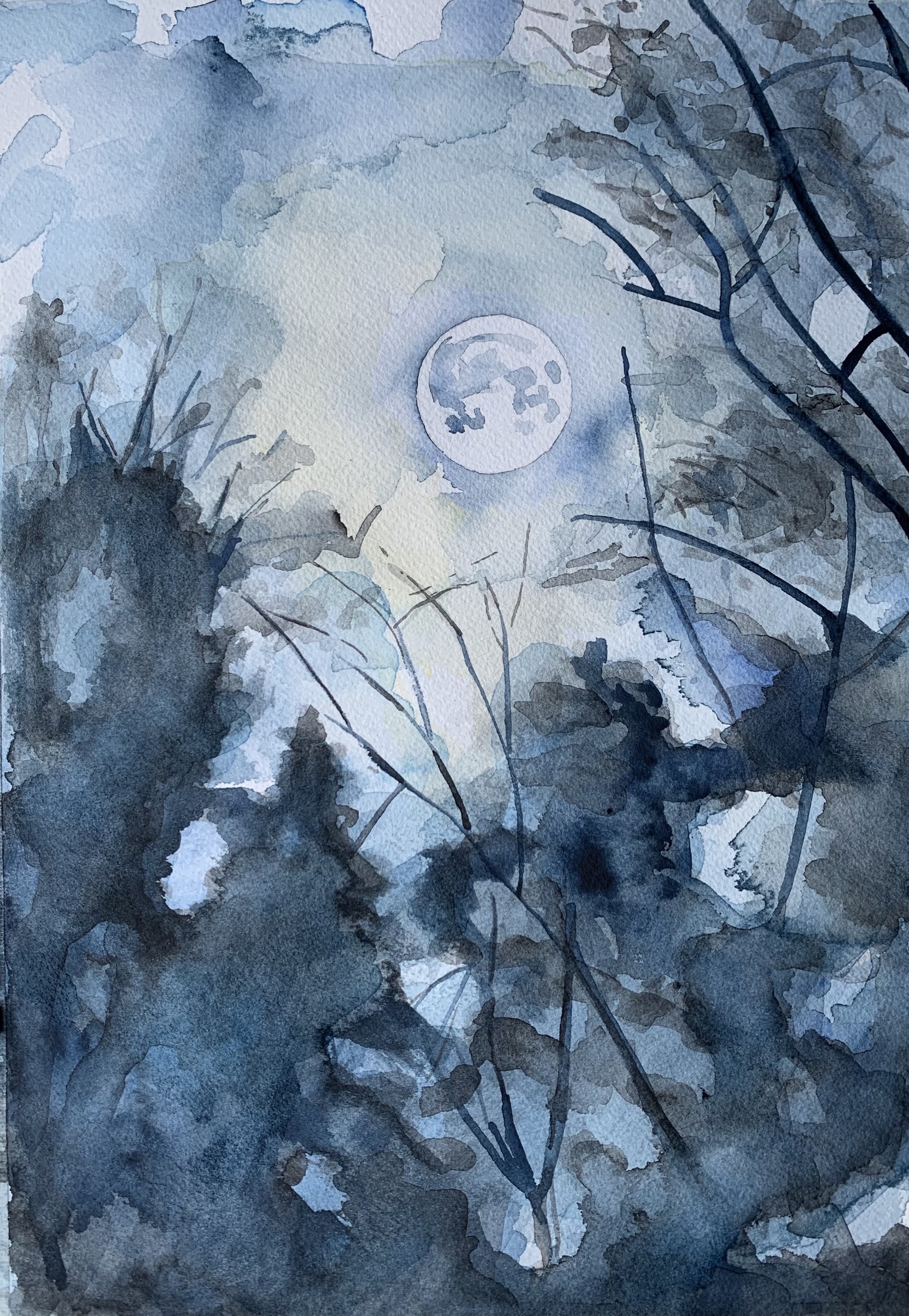Rachel Pollack : A Year in Full Moons