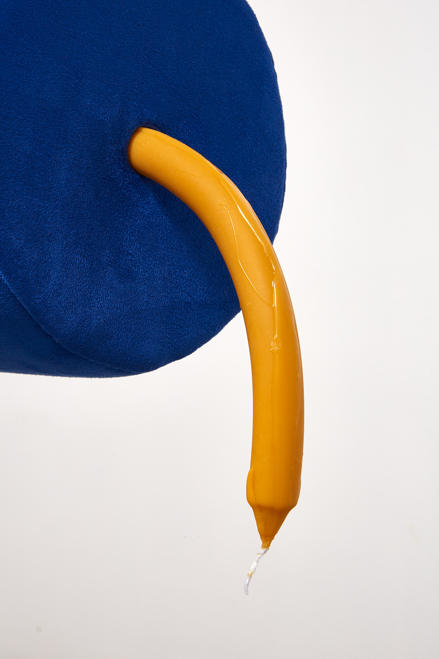 Rose Nestler : Slippery Yoke, Carvalho Park, 2022