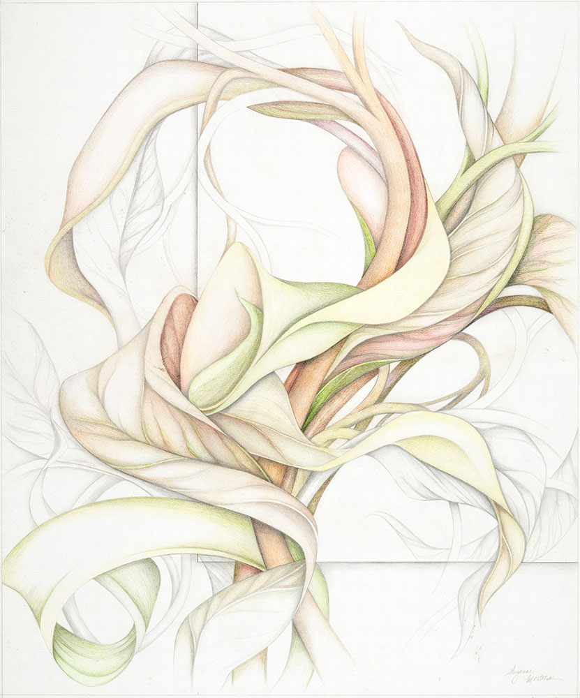 Suzanne Montresor : New Drawings