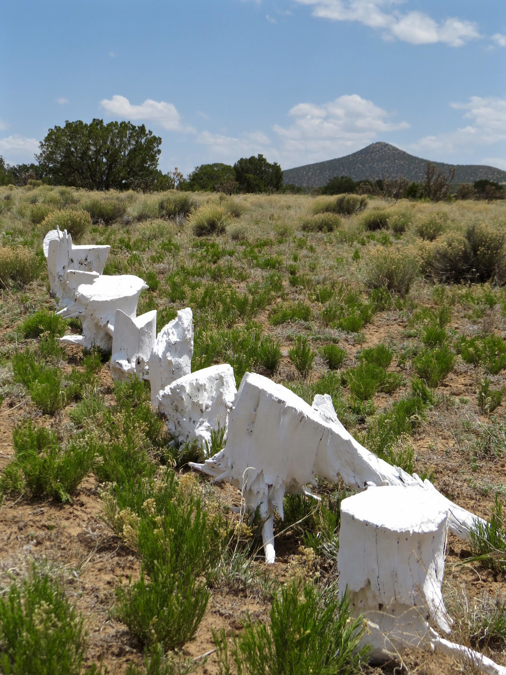 Artwork, unnamed5.jpg