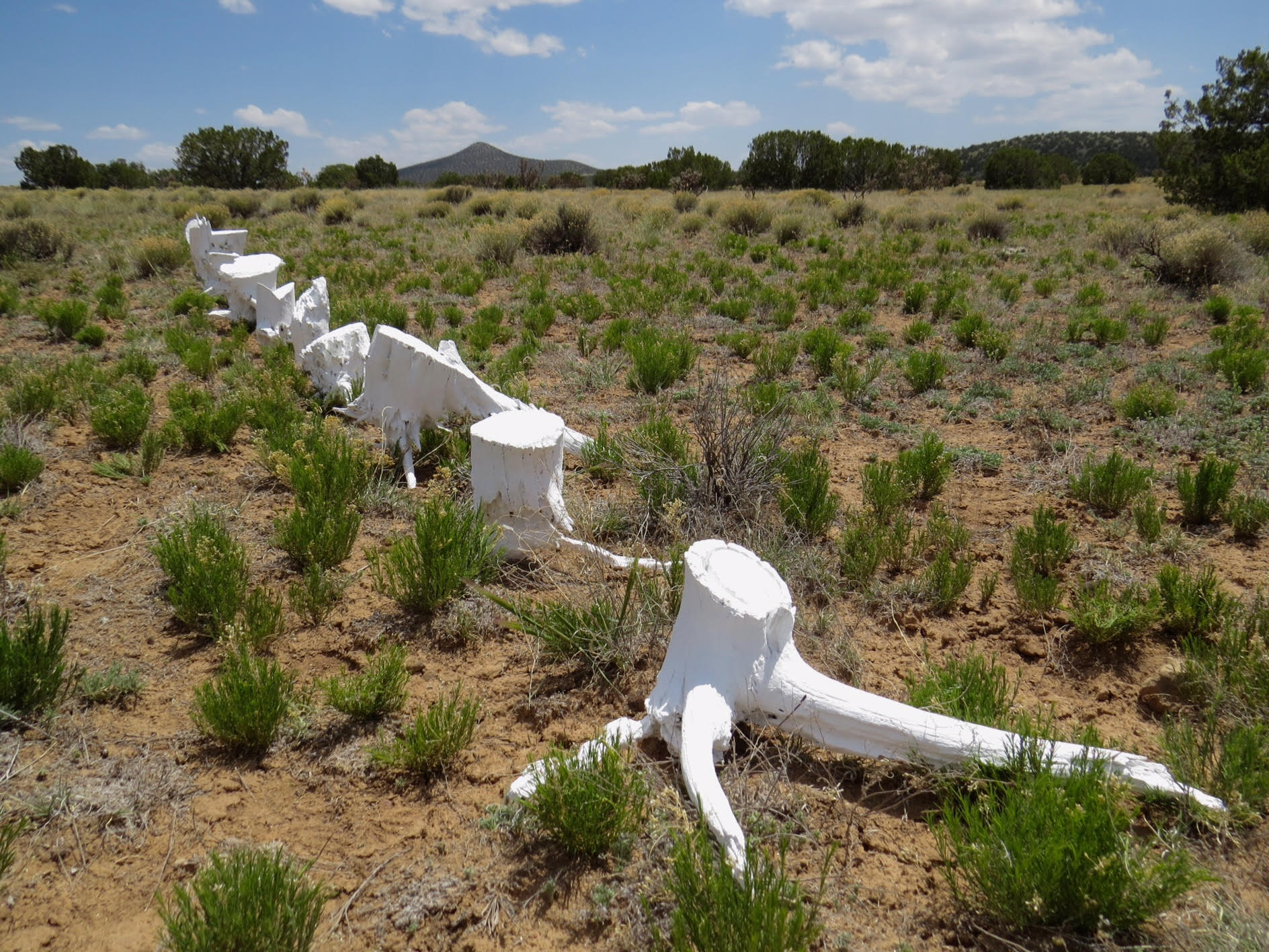 Artwork, unnamed4.jpg