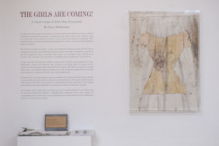 Carousel artwork image, The-Girls-Are-Coming-Opening-2019-Tracy-McMenemy-DSCF6409.jpg